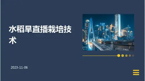 水稻旱直播栽培技术