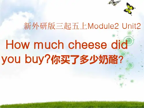 外研版五年级英语上册《M2 U2How much cheese did you buy》精品课件