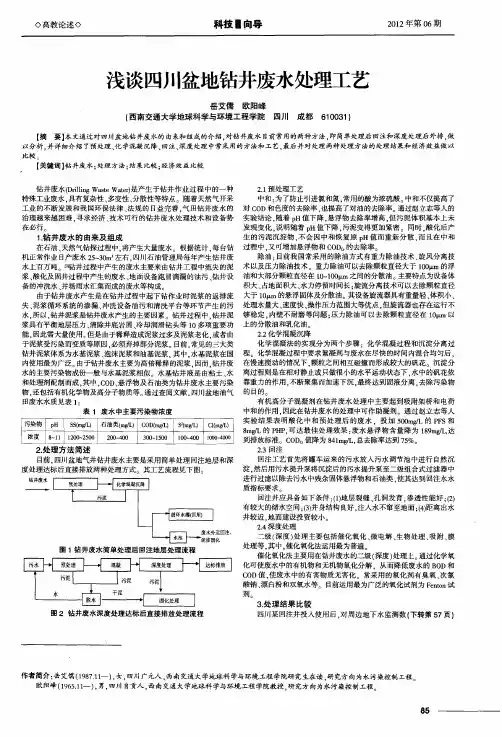 浅谈四川盆地钻井废水处理工艺