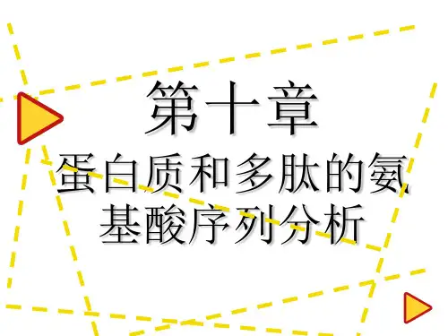 蛋白质和多肽的氨基酸序列分析