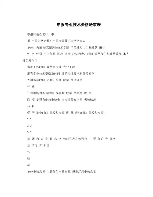 申报专业技术资格送审表