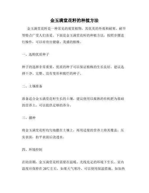 金玉满堂花籽的种植方法