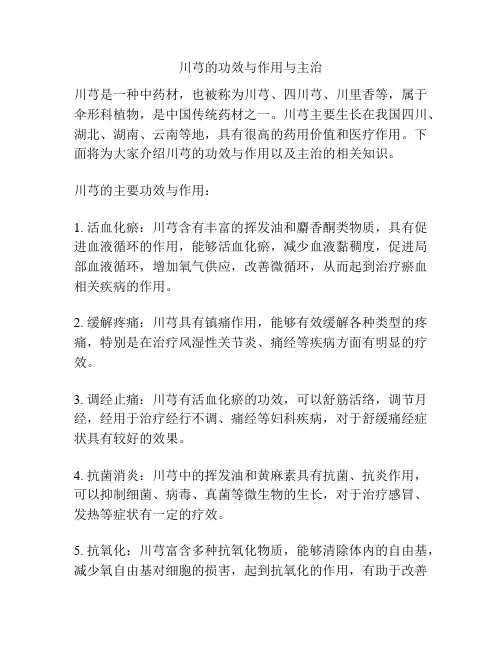 川芎的功效与作用与主治