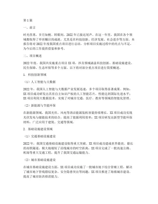 项目年度总结范文作文(3篇)
