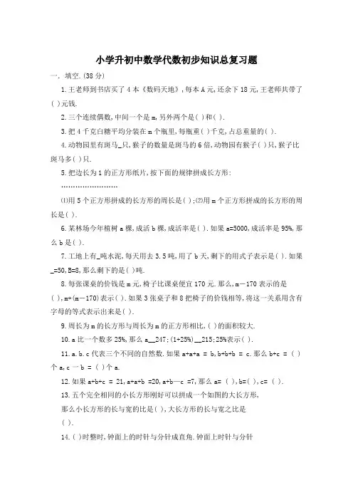 小学升初中数学代数初步知识总复习题