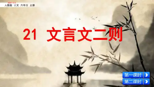 最新部编本六年级语文上册第七单元课件全套