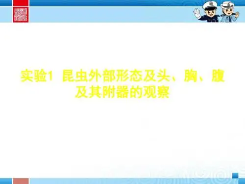 园林植物病虫害防治(3)ppt课件