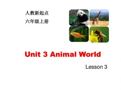 人教版(新起点)英语六年级上册Unit 3《Animal World》(Lesson 3)课件