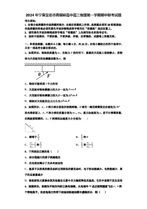 2024年宁夏吴忠市青铜峡高中高三物理第一学期期中联考试题含解析