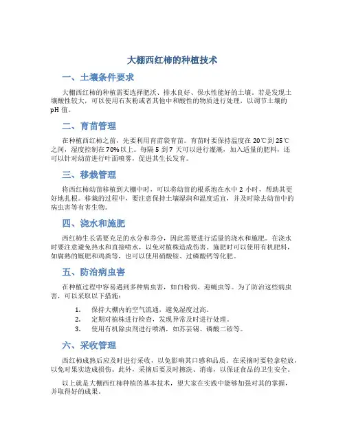 大棚西红柿的种植技术