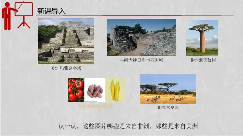 人教统编版高中历史必修中外历史纲要下第5课古代非洲与美洲课件
