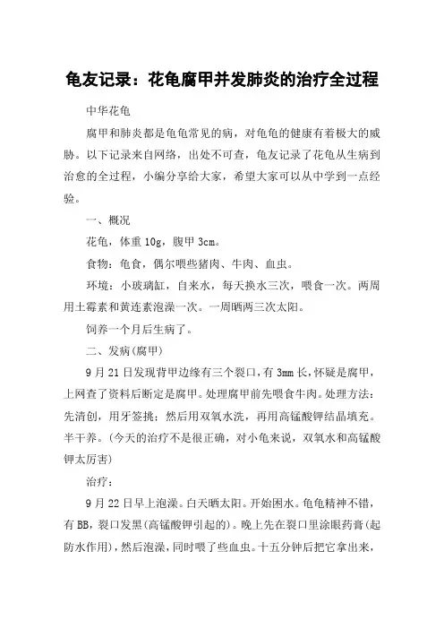 龟友记录：花龟腐甲并发肺炎的治疗全过程