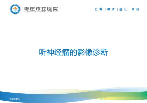 桥小脑角区肿瘤的鉴别诊断