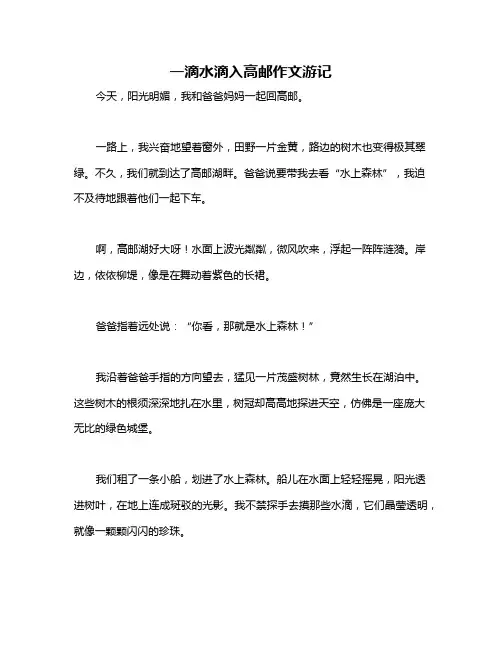 一滴水滴入高邮作文游记