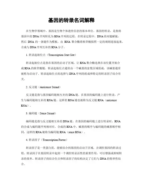 基因的转录名词解释