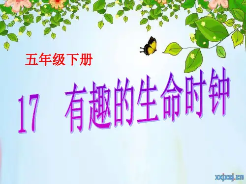 17、有趣的生命时钟解析