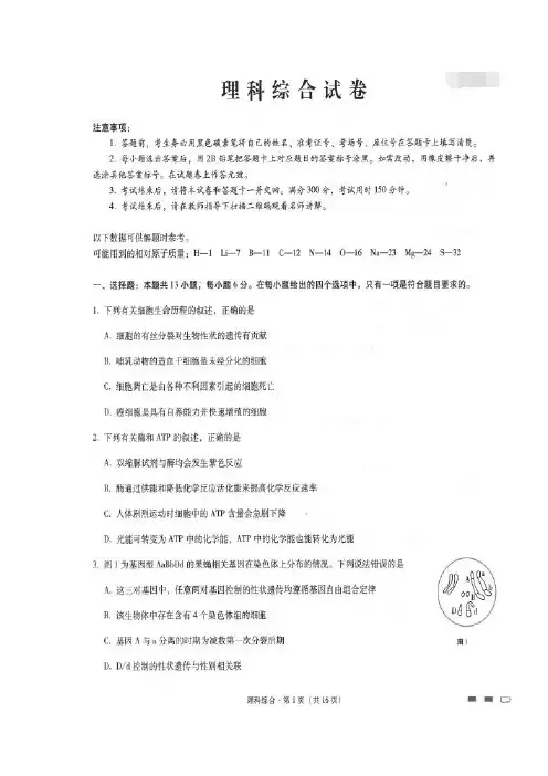云南师范大学附属中学高三上学期第三次月考理科综合试题含答案