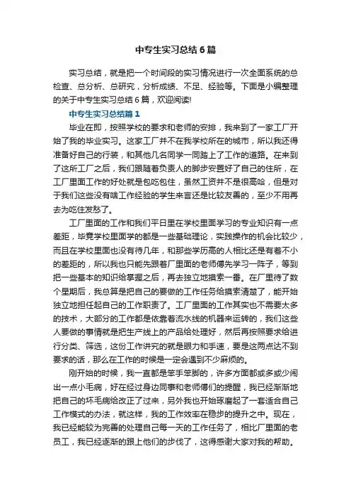 中专生实习总结6篇