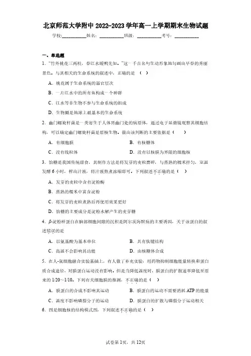 北京师范大学附中2022-2023学年高一上学期期末生物试题(含答案解析)
