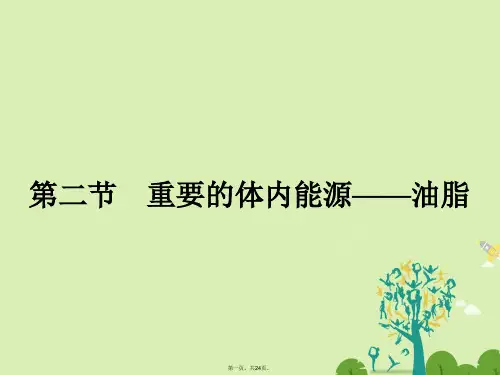 高中化学1.2重要的体内能源油脂课件新人教版选修1