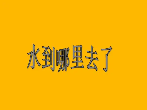 三年级上册科学课件 水到哪里去了教科版 (共24页)PPT