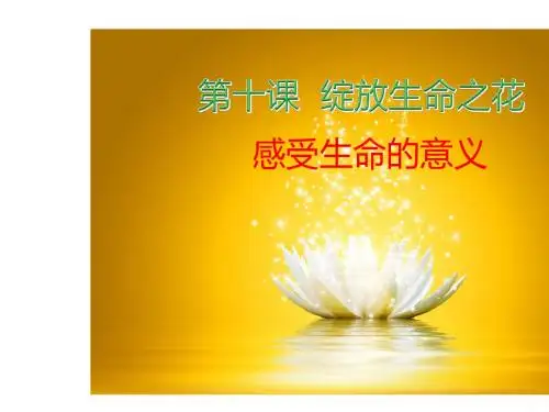 人教部编版七年级道德与法治上册课件：10.1感受生命的意义(共27张ppt)