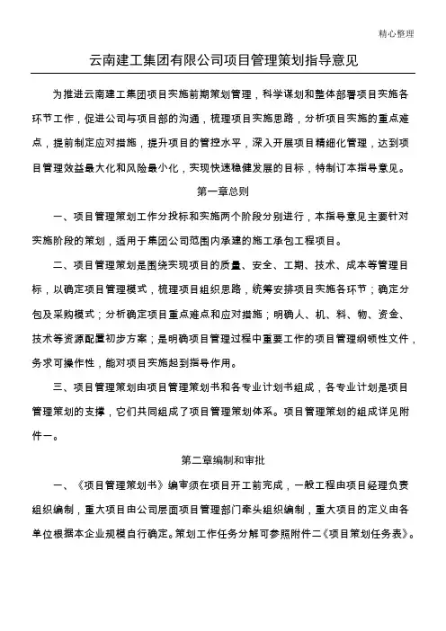 项目办法管理规划办法书模板(指导意见