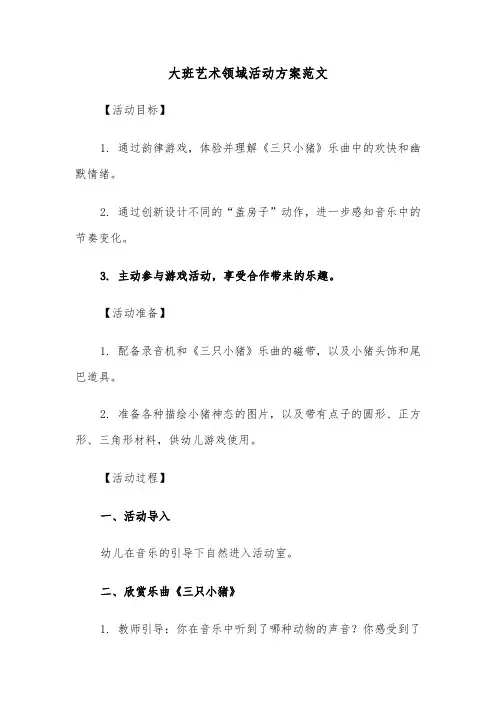 大班艺术领域活动方案范文（五篇）