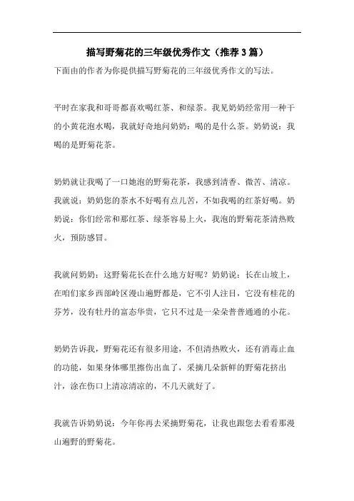 描写野菊花的三年级优秀作文(推荐3篇)