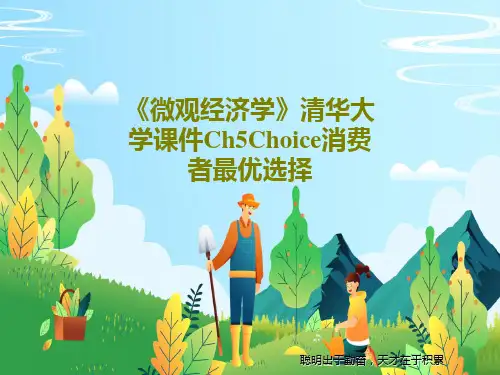 《微观经济学》清华大学课件Ch5Choice消费者最优选择共37页文档