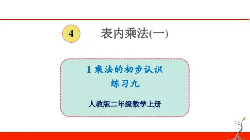 人教版二年级上册数学练习九(教学课件)优质课公开课课件