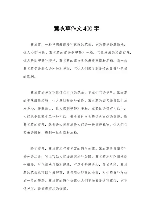 薰衣草作文400字