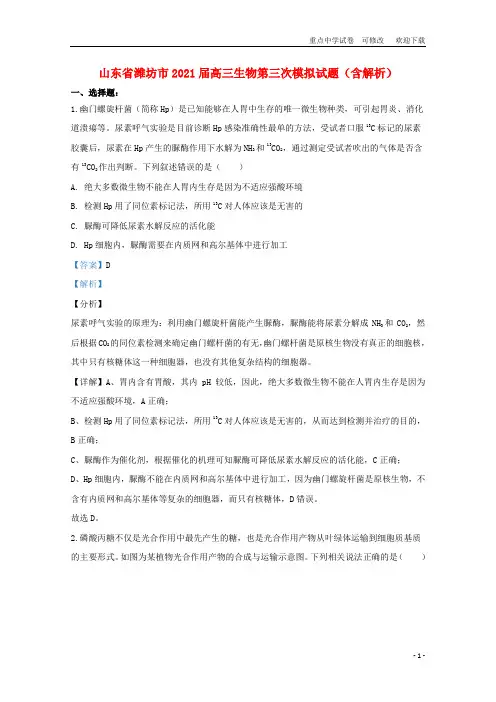 山东省潍坊市2021届高三生物第三次模拟试题(含解析)