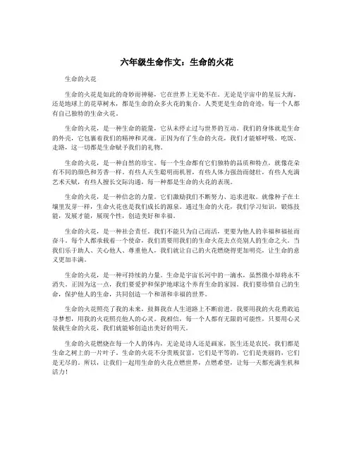 六年级生命作文：生命的火花
