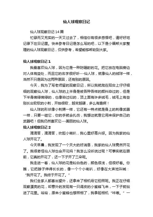 仙人球观察日记