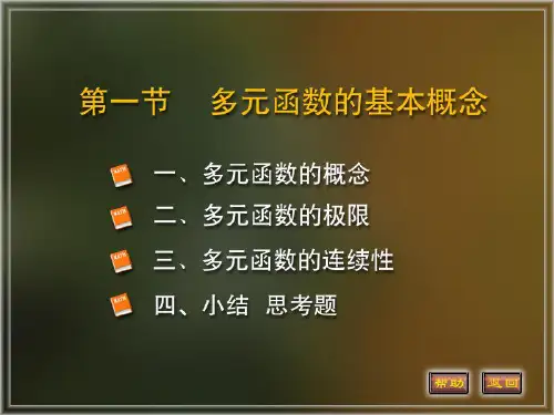 多元函数的概念ppt课件