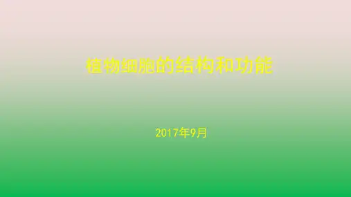 植物细胞公开课优质课课件.pptx