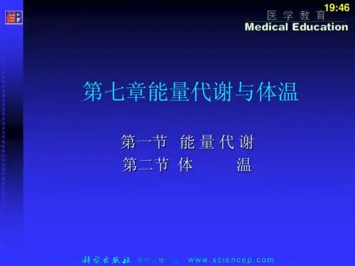 生理学  第7章能量代谢与