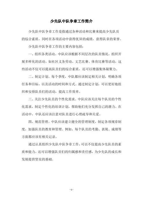 少先队中队争章工作简介
