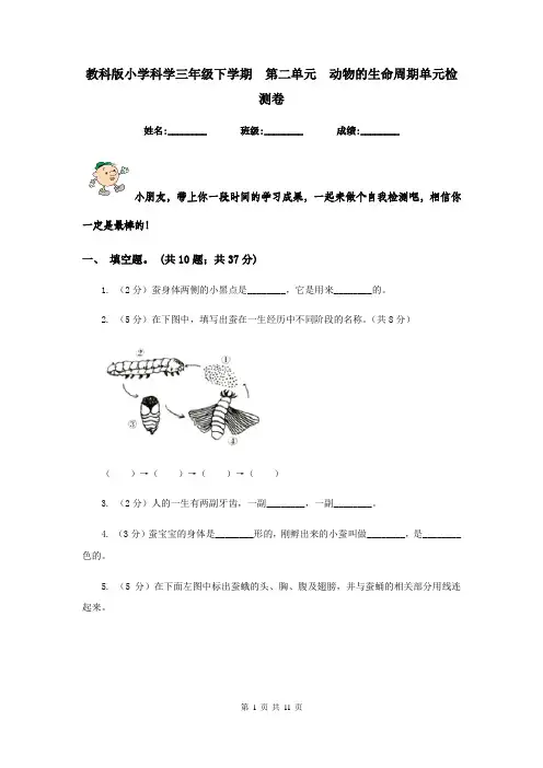 教科版小学科学三年级下学期  第二单元  动物的生命周期单元检测卷