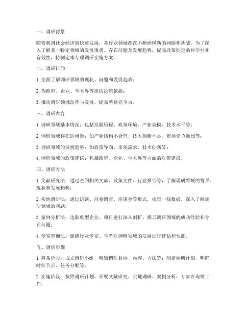专项调研实施方案
