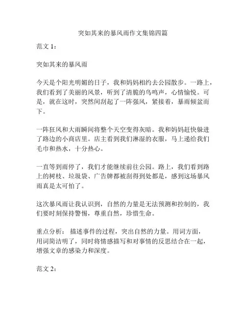 突如其来的暴风雨作文集锦四篇