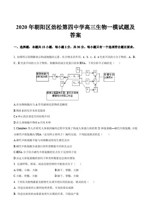 2020年朝阳区劲松第四中学高三生物一模试题及答案