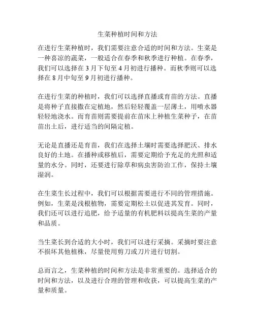 生菜种植时间和方法