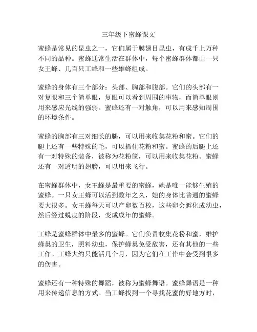 三年级下蜜蜂课文