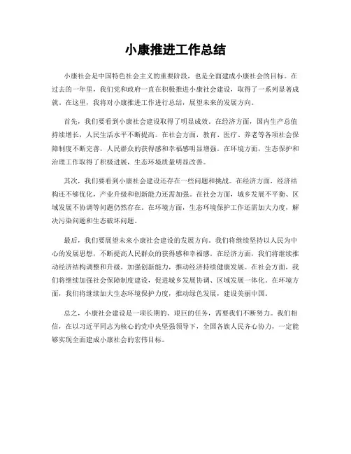 小康推进工作总结