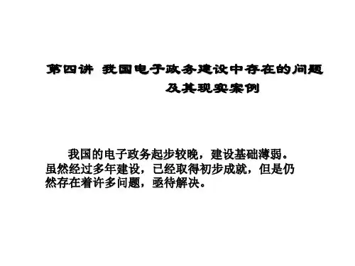 我国电子政务建设中存在的问题与案例解析PPT(29张)