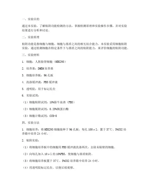 粘附功能检测实验报告