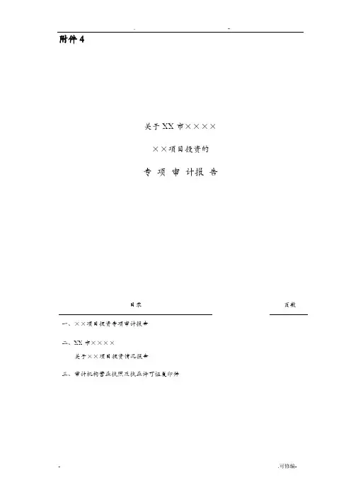 项目投资专项审计报告