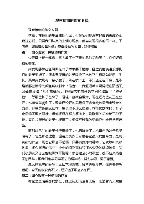 观察植物的作文5篇
